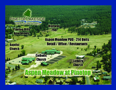 Aspen Meadow Project Sheet.indd