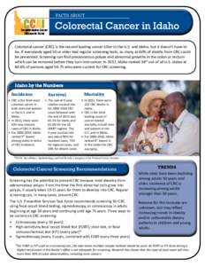 Rectum / Cancer screening / Stool tests / Gastrointestinal cancer / Fecal occult blood / Colorectal cancer / Colonoscopy / Polyp / Cancer / Medicine / Health / Endoscopy