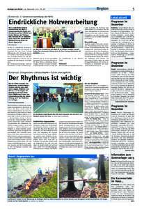 Region Anzeiger vom Rottal – 29. November 2012 – Nr. 48