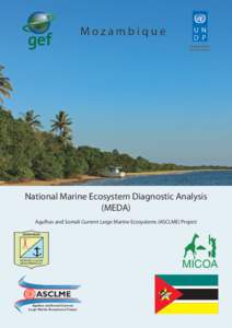 Mozambique  National Marine Ecosystem Diagnostic Analysis (MEDA) Agulhas and Somali Current Large Marine Ecosystems (ASCLME) Project
