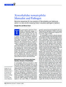 Xenorhabdus nematophila: Mutualist and Pathogen Genome sequences for two species of Xenorhabdus are helping to