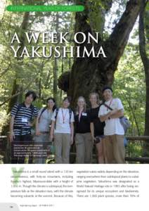 Yakushima / Conservation / Loggerhead sea turtle / Cryptomeria / Herpetology / Botany / Kirishima-Yaku National Park / Pinales / Yakusugi