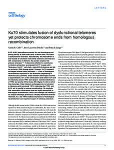 LETTERS  Ku70 stimulates fusion of dysfunctional telomeres yet protects chromosome ends from homologous recombination Giulia B. Celli1,2,3, Eros Lazzerini Denchi1,3 and Titia de Lange1,4