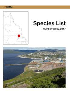Species List Humber Valley, 2017 New species to the cumulative list are shown in black