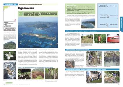 Conservation / Bonin Islands / Ecology / Haha-jima / Islands / Chichi-jima / Ogasawara National Park / Island ecology / Ogasawara /  Tokyo / Biology / Environment / Terminology