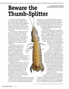 Beware the Thumb-Splitter By Craig Newton, Biologist II, Alabama Marine Resources Division