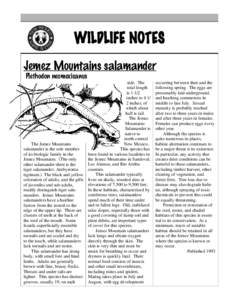WILDLIFE NOTES Jemez Mountains salamander Plethodon neomexicanus The Jemez Mountains salamander is the sole member