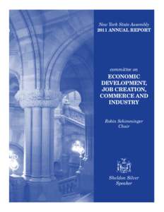 New York State Assembly 2011 Annual Report committee on  Economic