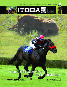 Indiana Thoroughbred Owners and Breeders Association - ITOBA NEWS Steve Heuertz photo 