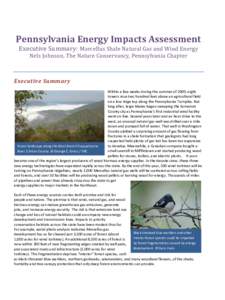 Pennsylvania Energy Impacts Assessment Executive Summary: Marcellus Shale Natural Gas and Wind Energy Nels Johnson, The Nature Conservancy, Pennsylvania Chapter Executive Summary Within a few weeks during the summer of 2