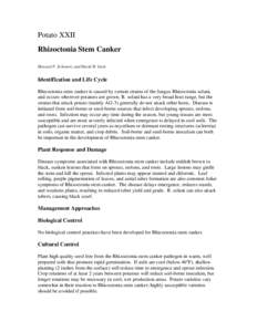 Cantharellales / Rhizoctonia solani / Helminthosporium solani / Phytophthora infestans / Canker / Potato / Tuber / Biology / Botany / Agriculture