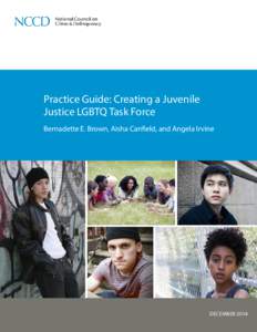 Practice Guide: Creating a Juvenile Justice LGBTQ Task Force Bernadette E. Brown, Aisha Canfield, and Angela Irvine DECEMBER 2014