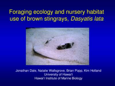 Ontogenetic dietary and habitat shifts in brown stingrays (Dasyatis lata) in Hawai‘i inferred from stomach content and stable isotope analysis