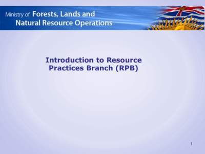 Introduction to Resource Practices Branch (RPB) 1  Presentation Outline