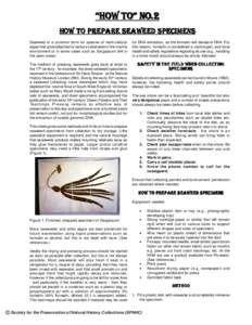 “HOW TO” NO.2 HOW TO PREPARE SEAWEED SPECIMENS Seaweed is a common term for species of multi-cellular algae that grow attached to various substrates in the marine environment or in some cases such as Sargassum drift 
