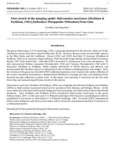 PeckhamiaHabronattus mexicanus from Cuba PECKHAMIA 109.1, 2 October 2013, 1―3 urn:lsid:zoobank.org:pub:3CE3B1D5-7E4D-4A64-B997-EEDB1E9E04D2 (registered 30 SEP 2013)