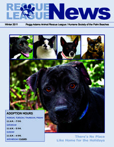 Pet adoption / Mutts / PetSmart / Dog / Neutering / Overpopulation in companion animals / Animal euthanasia / Rescue dog / No-kill shelter / Animal welfare / Zoology / Biology