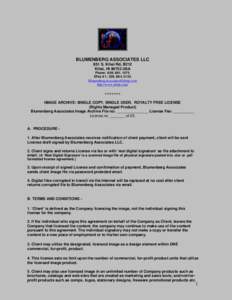 BLUMENBERG ASSOCIATES LLC 851 S. Kihei Rd, B212 Kihei, HI[removed]USA Phone: [removed]EFax #1: [removed]