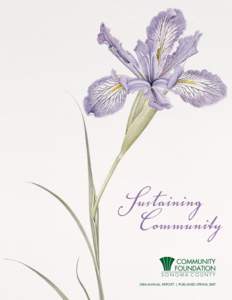 Community Foundation Annual Report 2007