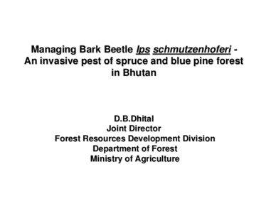 Managing Bark Beetle Ips schmutzenhoferi An invasive pest of spruce and blue pine forest in Bhutan