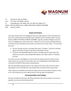 Microsoft Word - Magnum - Wellmark -Independent Agent Report - Final.docx