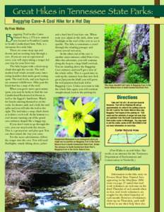 Great Hikes in Tennessee State Parks: Buggytop Cave–A Cool Hike for a Hot Day B  By Fran Wallas