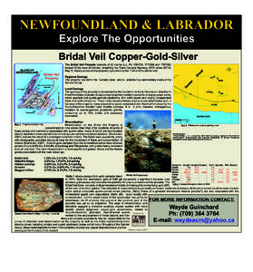 NEWFOUNDLAND & LABRADOR Explore The Opportunities Bridal Veil Copper-Gold-Silver ZO NE