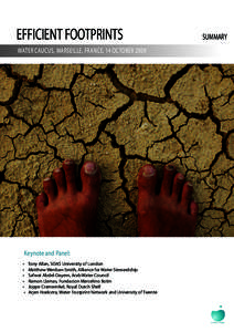 EFFICIENT FOOTPRINTS WATER CAUCUS, MARSEILLE, FRANCE, 14 OCTOBER 2009 Keynote and Panel: • •