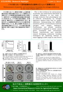 研究成果情報／Research Highlight  （平成26年度／2014） イネの根において通気組織形成は窒素欠乏によって誘導される Enhancement of porosity and aerenchyma formation by nitrogen defic