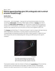 May 21, 2014  Marine apprenticeships give UW undergrads role in animalancestor breakthrough Sandra Hines News and Information