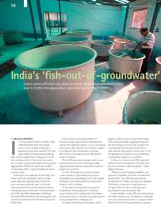 14  November 2008 – February 2009 PARTNERS India’s ‘fish-out-of-groundwater’ India’s saline-affected crop plots are being transformed into small inland