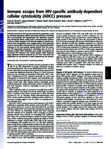 Immune escape from HIV-speciﬁc antibody-dependent cellular cytotoxicity (ADCC) pressure Amy W. Chunga,1, Gamze Isitmana,1, Marjon Navisa, Marit Kramskia, Rob J. Centera, Stephen J. Kenta,b,c,1,2, and Ivan Stratova,b,c,