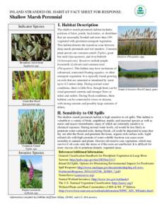 INLAND STRANDED OIL HABITAT FACT SHEET FOR RESPONSE:  Shallow Marsh Perennial Indicator Species  Broadleaf Arrowhead