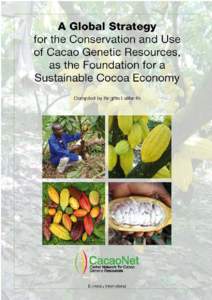 A global strategy for the conservation and use of cacao genetic resources, as the foundation for a sustainable cocoa economy