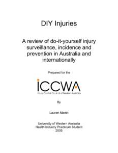 DIY Injuries A review of do-it-yourself injury surveillance, incidence and prevention in Australia and internationally Prepared for the