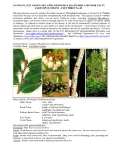 Botany / Flora of the United States / Ericaceae / Huckleberry / Vaccinium / Sudden oak death / Fruit / Karuk / Vaccinium parvifolium / Berries / Native American cuisine / Flora of North America