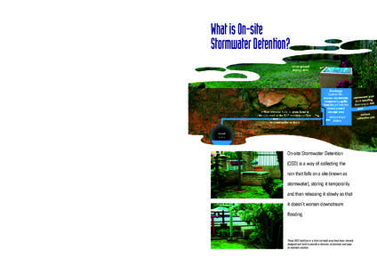 Water / Hydrology / Environmental soil science / Hydraulic engineering / Environmental engineering / Stormwater / Storm drain / Balancing lake / Surface runoff / Water pollution / Earth / Environment
