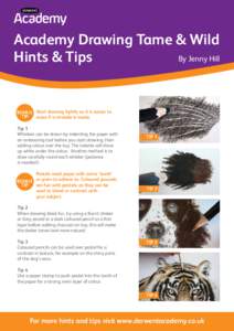 Academy Drawing Tame & Wild By Jenny Hill Hints & Tips Start drawing lightly as it is easier to