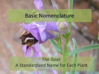 Basic Nomenclature  The Goal: A Standardized Name for Each Plant  Common Names