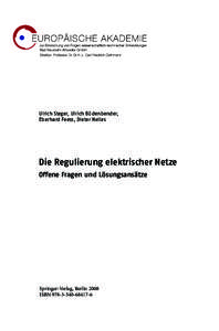 Ulrich Steger, Ulrich Büdenbender, Eberhard Feess, Dieter Nelles Die Regulierung elektrischer Netze Offene Fragen und Lösungsansätze