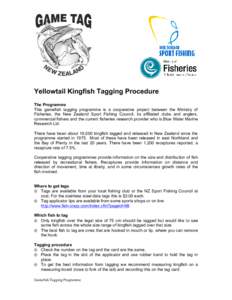Yellowtail Kingfish Tagging Procedure The Programme This gamefish tagging programme is a cooperative project between the Ministry of Fisheries, the New Zealand Sport Fishing Council, its affiliated clubs and anglers, com