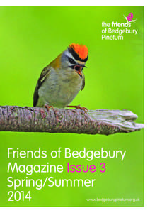 Bedgebury National Pinetum / Arboretum / Royal Botanic Gardens /  Kew / Forestry Commission / Go Ape / Cathaya / Bedgebury Forest / United Kingdom / Geography of England / Conservation in the United Kingdom