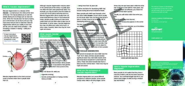 Blindness / Macular degeneration / Amsler grid / Macula of retina / Vascular endothelial growth factor / Drusen / Lutein / Vision loss / Blurred vision / Ophthalmology / Vision / Health