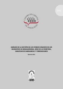 2012  ANÁLISIS DE LA GESTIÓN DE LOS FONDOS LÍQUIDOS DE LOS MUNICIPIOS DE BENALMÁDENA, JEREZ DE LA FRONTERA, SANLÚCAR DE BARRAMEDA Y TORREMOLINOS Ejercicio 2012