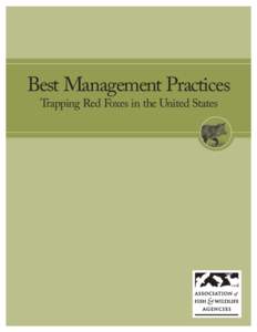 Best Management Practices Trapping Red Foxes in the United States Best Management Practices (BMPs) are carefully researched recommendations designed to address animal welfare and increase trappers’ efficiency and sele