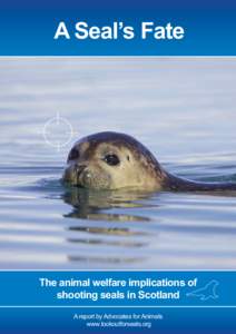 A Seal’s Fate	  A Seal’s Fate The animal welfare implications of shooting seals in Scotland