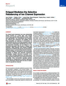 Neuron  Report Kru¨ppel Mediates the Selective Rebalancing of Ion Channel Expression Jay Z. Parrish,1,6,* Charles C. Kim,2,6,* Lamont Tang,3 Sharon Bergquist,3 Tingting Wang,3 Joseph L. DeRisi,3,4