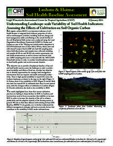 Agriculture / Soil carbon / Topsoil / Fertility / Hoima / Land management / Soil / Landscape architecture