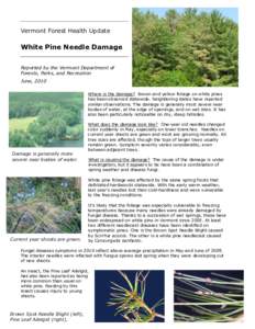 Vermont Forest Health Update  White Pine Needle Damage Reported by the Vermont Department of Forests, Parks, and Recreation June, 2010