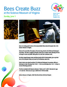 Bees Create Buzz at the Science Museum of Virginia Sunday, June 1 Media Contact: Nancy Tait